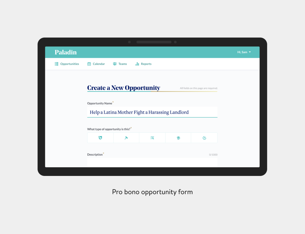 Old pro bono opportunity form with poor hierarchy and visual design.